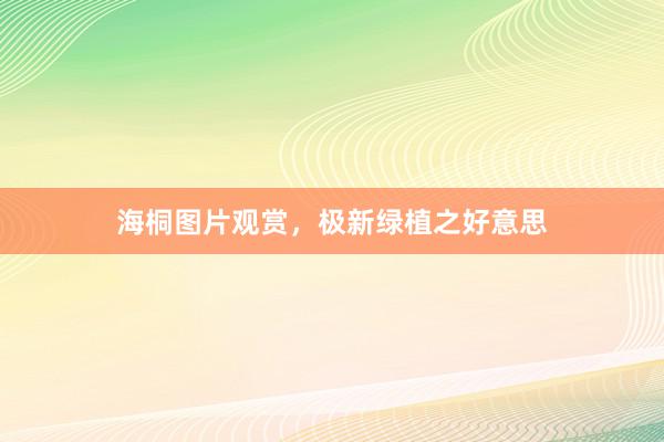 海桐图片观赏，极新绿植之好意思
